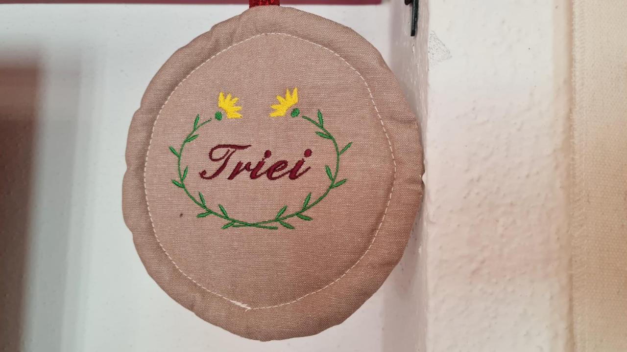 Domu Irene - Triei Lägenhet Exteriör bild
